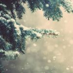 Top 1080x1920 winter wallpaper 4k Download