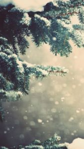 Top 1080x1920 winter wallpaper 4k Download