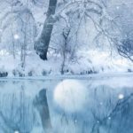 Download 1080x1920 winter wallpaper HD