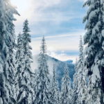 Download 1080x1920 winter wallpaper HD