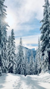 Download 1080x1920 winter wallpaper HD