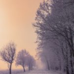 Top 1080x1920 winter wallpaper Download