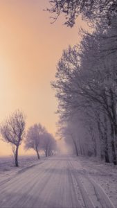 Top 1080x1920 winter wallpaper Download