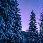 Top 1080x1920 winter wallpaper 4k Download