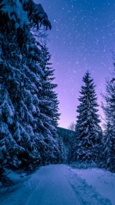 Top 1080x1920 winter wallpaper 4k Download