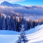 Top 1080x1920 winter wallpaper HD Download