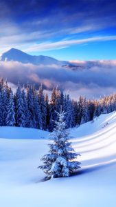 Top 1080x1920 winter wallpaper HD Download