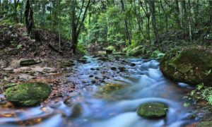 Download 10k wallpaper nature HD