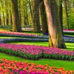 Download 4k garden wallpaper HD