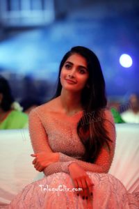 Download actress pooja hegde hd wallpapers HD