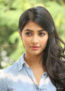 Top actress pooja hegde hd wallpapers HD Download