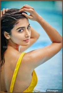 Download actress pooja hegde hd wallpapers HD