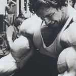 Top arnold schwarzenegger bodybuilding photos wallpapers HD Download