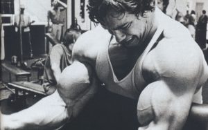 Top arnold schwarzenegger bodybuilding photos wallpapers HD Download