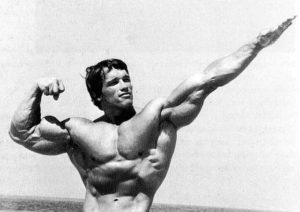 Top arnold schwarzenegger bodybuilding photos wallpapers free Download