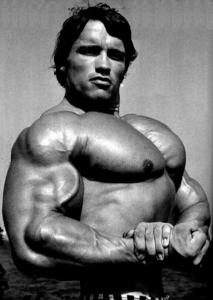 Download arnold schwarzenegger bodybuilding photos wallpapers HD