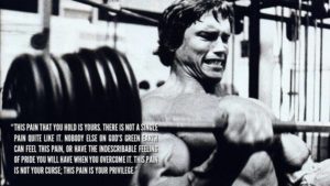 Top arnold schwarzenegger bodybuilding photos wallpapers HD Download