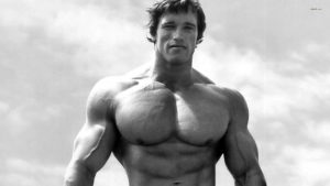 Download arnold schwarzenegger bodybuilding photos wallpapers HD