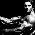 Download arnold schwarzenegger bodybuilding photos wallpapers HD