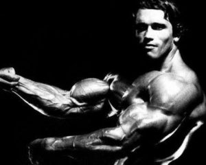 Download arnold schwarzenegger bodybuilding photos wallpapers HD