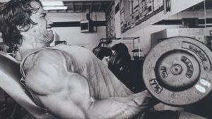 Download arnold schwarzenegger bodybuilding photos wallpapers HD