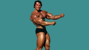 Download arnold schwarzenegger bodybuilding photos wallpapers HD