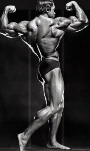 Top arnold schwarzenegger bodybuilding photos wallpapers Download