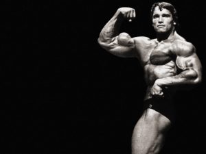 Top arnold schwarzenegger bodybuilding photos wallpapers HD Download