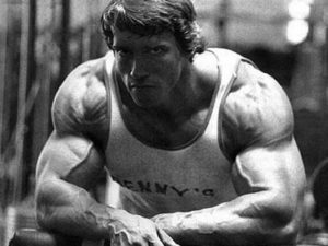 Download arnold schwarzenegger bodybuilding photos wallpapers HD