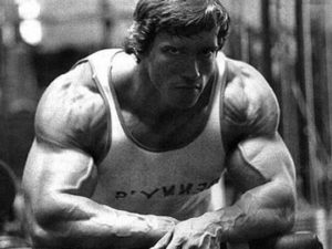 Download arnold schwarzenegger bodybuilding photos wallpapers HD