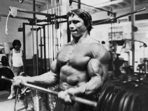 Top arnold schwarzenegger bodybuilding photos wallpapers HD Download