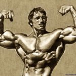 Top arnold schwarzenegger bodybuilding photos wallpapers 4k Download