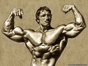 Top arnold schwarzenegger bodybuilding photos wallpapers 4k Download