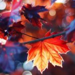 Top autumn leaves iphone wallpaper 4k Download