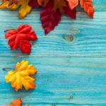 Top autumn leaves iphone wallpaper free Download