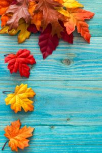 Top autumn leaves iphone wallpaper free Download