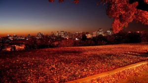 Top autumn night wallpaper 4k Download