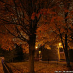 Download autumn night wallpaper HD