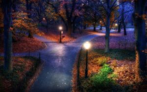 Top autumn night wallpaper 4k Download