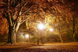 Top autumn night wallpaper HD Download