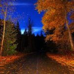 Top autumn night wallpaper HD Download