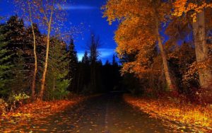 Top autumn night wallpaper HD Download