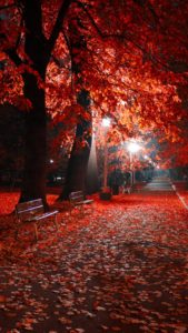 Download autumn night wallpaper HD