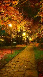 Download autumn night wallpaper HD