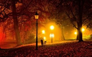 Top autumn night wallpaper Download