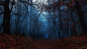 Top autumn night wallpaper Download