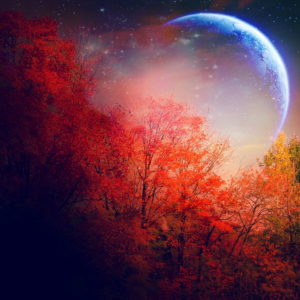 Download autumn night wallpaper HD