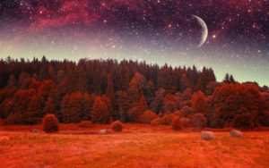 Top autumn night wallpaper 4k Download