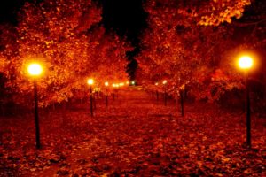 Download autumn night wallpaper HD