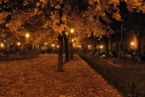 Download autumn night wallpaper HD